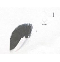 Brosse d’étanchéité PVC pour moustiquaire 6×9 mm - ACGGE0055